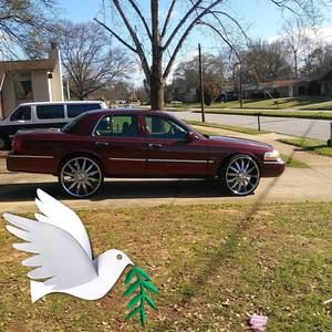 Meet your Posher, Willie